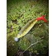 Σιλικόνη SeaBuzz Turbo Shad
