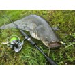 Σιλικόνη SeaBuzz Turbo Shad