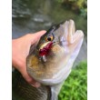 Воблер Sea Buzz Chub Bug