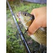 Воблер Sea Buzz Chub Bug