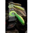 Σιλικόνη Rapala Crushcity The Curl