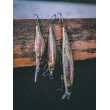Numărătoare inversă a oscilatoarelor