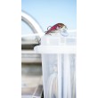 Numărătoare inversă a oscilatoarelor