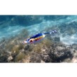 Καλαμάρι DTD Bloody Fish