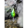 Rapala Dives-To