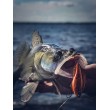 Rapala V-Blade Wobbler