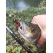 Силикон BB - Rush Craw SW