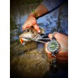 Воблер Sea Buzz Chub Bug