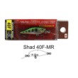 Sea Buzz River Shad