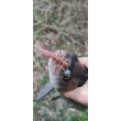 Soft Lure May Fly