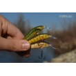 Minnow wobbler - floating