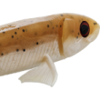 Șapcă Westin Twinteez Pelagic V-Tail R din silicon 'NR