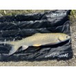 FilStar Compact Mat KK 35-1