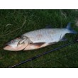 Воблер Rapala X-Light Minnow