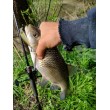 Воблер Rapala X-Light Minnow