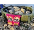 DB Swim Stim Feeder Formula Method Mix