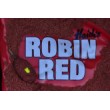 Захранка DB Robin Red Method Mix