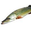 Декорация за стена EuroCatch 3D щука
