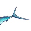 Декорация за стена EuroCatch 3D марлин