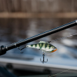 Rapala Rippin' Blade Cicada