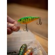Salmo Rattlin' Executor SDR Wobbler