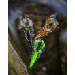 Westin CreCraw Slim Creaturebait