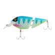 Sea Buzz Cat Killer