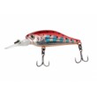 Sea Buzz River Shad