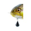 Silicon Westin Tommy The Trout Inline
