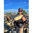 Σιλικόνη SeaBuzz Turbo Shad