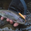 Shimano ZN-245X Cardif Refrai