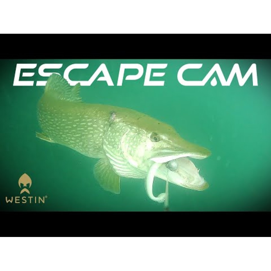 Cameră Westin Escape