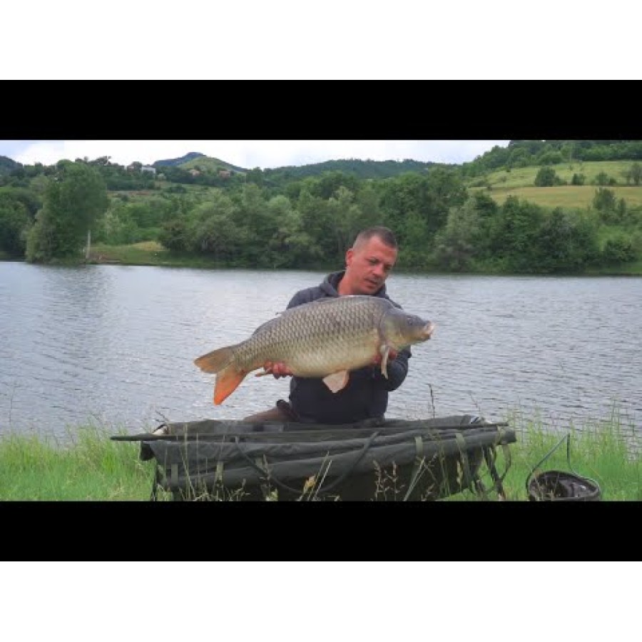 Bile plutitoare Pop-Up-uri FilStar Premium Carp