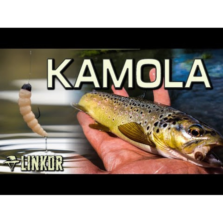 Linkor - Kamola