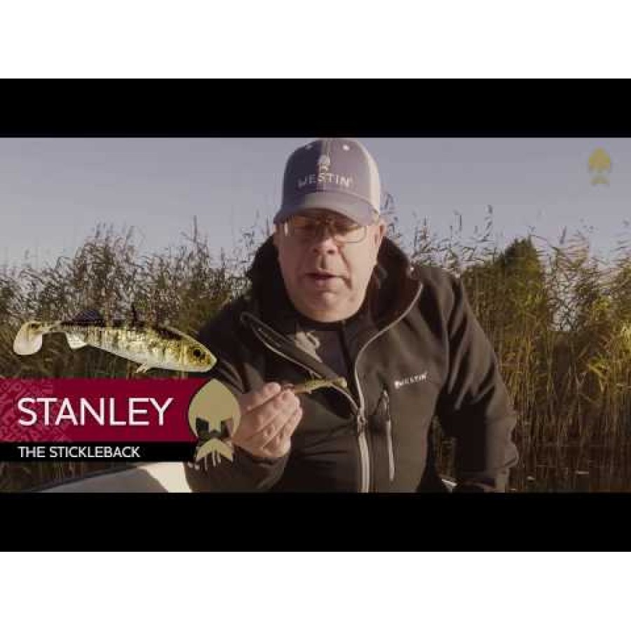 Pește Westin Stanley Stickleback Shadtail din silicon