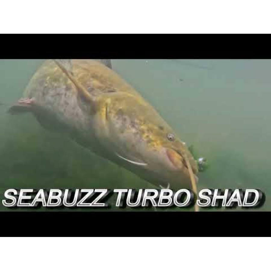 Σιλικόνη SeaBuzz Turbo Shad