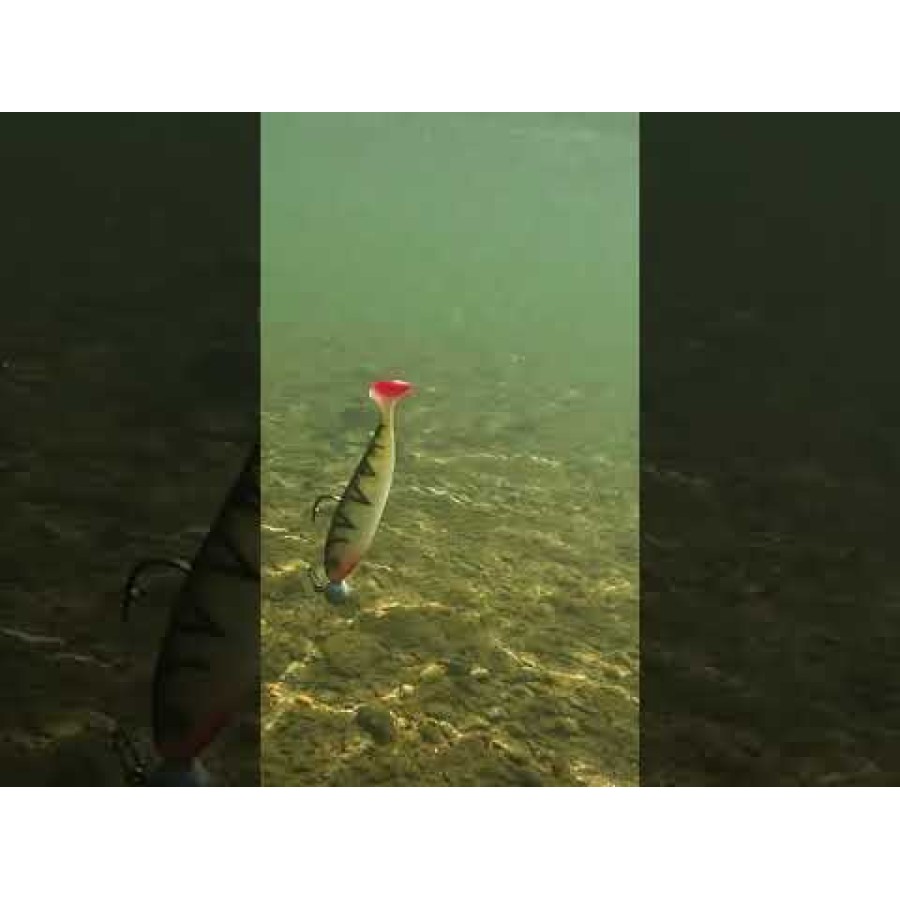 Σιλικόνη SeaBuzz Turbo Shad