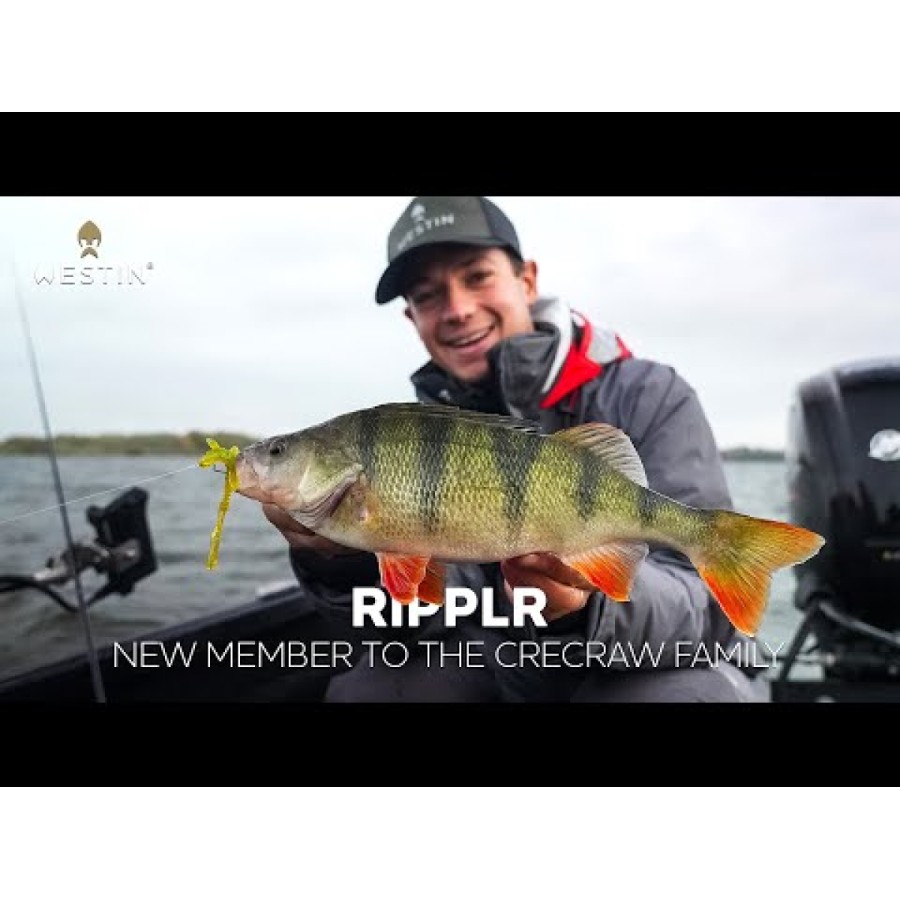 Westin CreCraw Ripplr Creaturebait