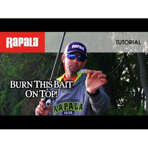 Rapala Dives-To