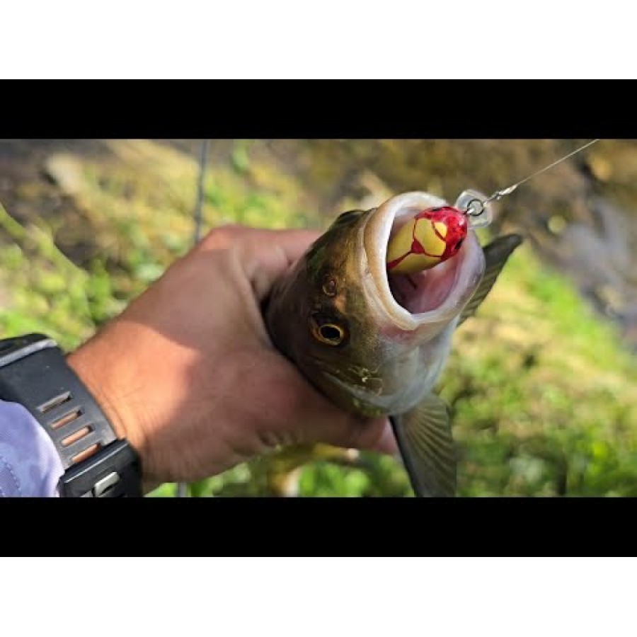 Воблер Sea Buzz Chub Bug