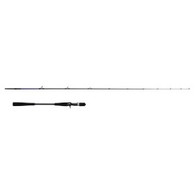 Lansetă de pescuit FilStar Blue Wave SLJ Cast
