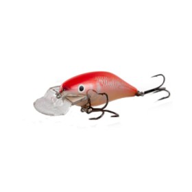 Executor Shallow Runner - floating