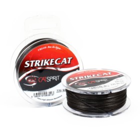 Cat Spirit Strike Cat